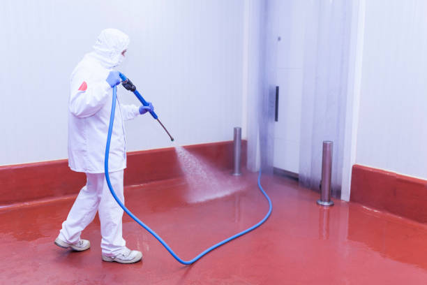 Professional Pressure Washing Services in Lockport, IL