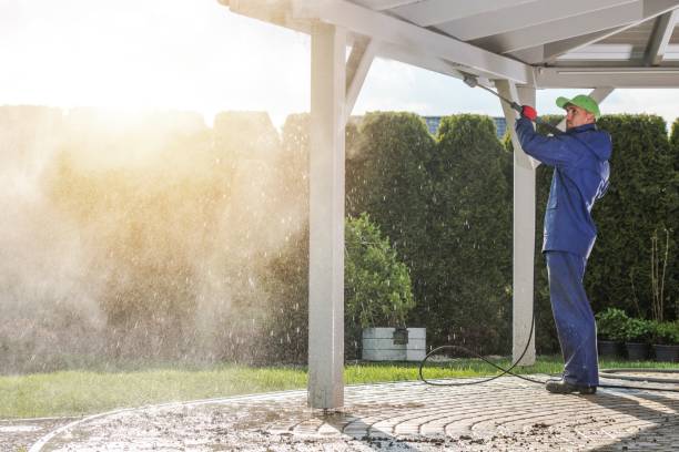 Best Soft Washing  in Lockport, IL